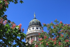 © Martina Miethig, Berlin, Gendarmenmarkt mit dem Französischen Dom-Turm und Blueten