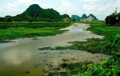 © Martina Miethig, Kambodscha, Flusslandschaft bei Kampot