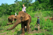 © Martina Miethig, Kambodscha, Mondulkiri, Elefantenreiten