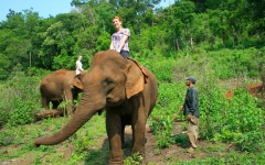 © Martina Miethig, Kambodscha, Mondulkiri, Elefantenreiten