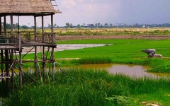 © Martina Miethig, Kambodscha, Tonle Sap See