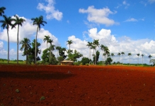 © Martina Miethig, Kuba, Cuba privado, Güira de Melena, Provinz Havanna