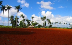 © Martina Miethig, Kuba, Cuba privado, Güira de Melena, Provinz Havanna