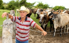 © Martina Miethig, Kuba, Rancho King, Playa Santa Lucia