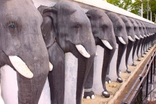 © Martina Miethig, Sri Lanka, Anuradhapura, Elefantenfries