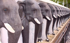 © Martina Miethig, Sri Lanka, Anuradhapura, Elefantenfries