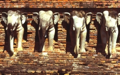 © Martina Miethig, Thailand, Sukhothai Tempel, Elefanten