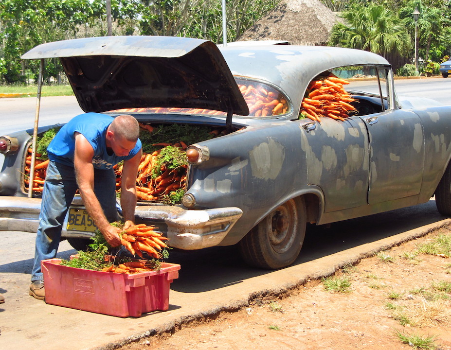 © Martina Miethig, Cadillac-Oldtimer mit Möhren in Kuba