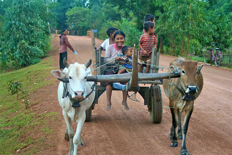 © Martina Miethig, Kambodscha, Kampong Thom, Gefährt