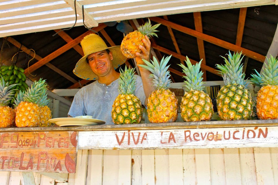 © Martina Miethig, Kuba, Ananashändler, Viva la Revolucion
