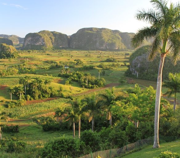 Das Viñales-Tal, das Valle de Viñales, in Kuba gehört zu den schönsten Wanderregionen der Welt.